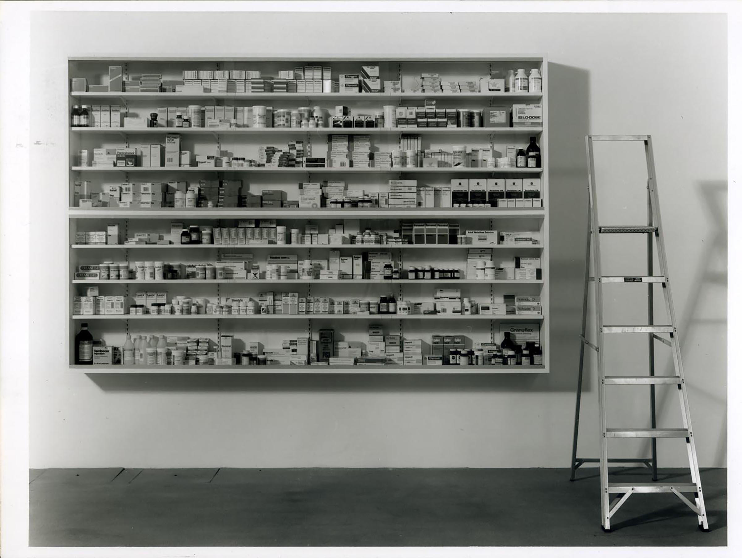 Damien Hirst, Weu0027re afraid of nothing, 1992
